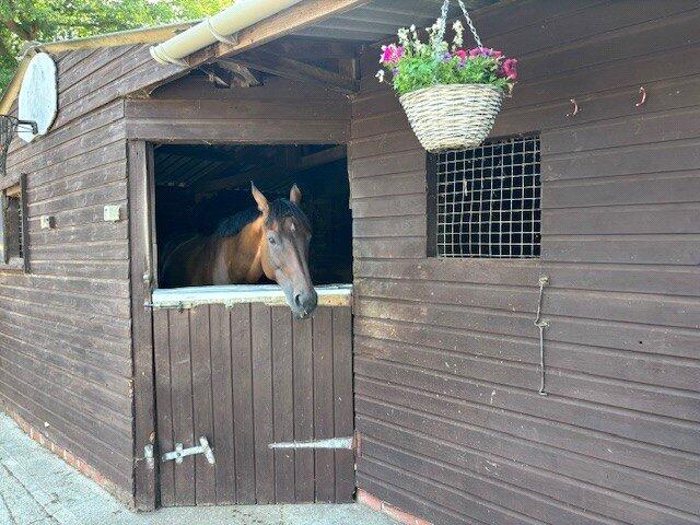 Stables