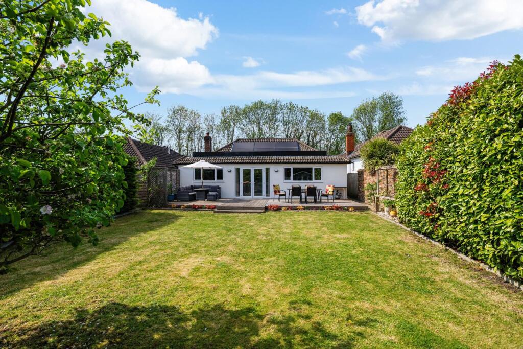 THE ORCHARD,  (7).jpg