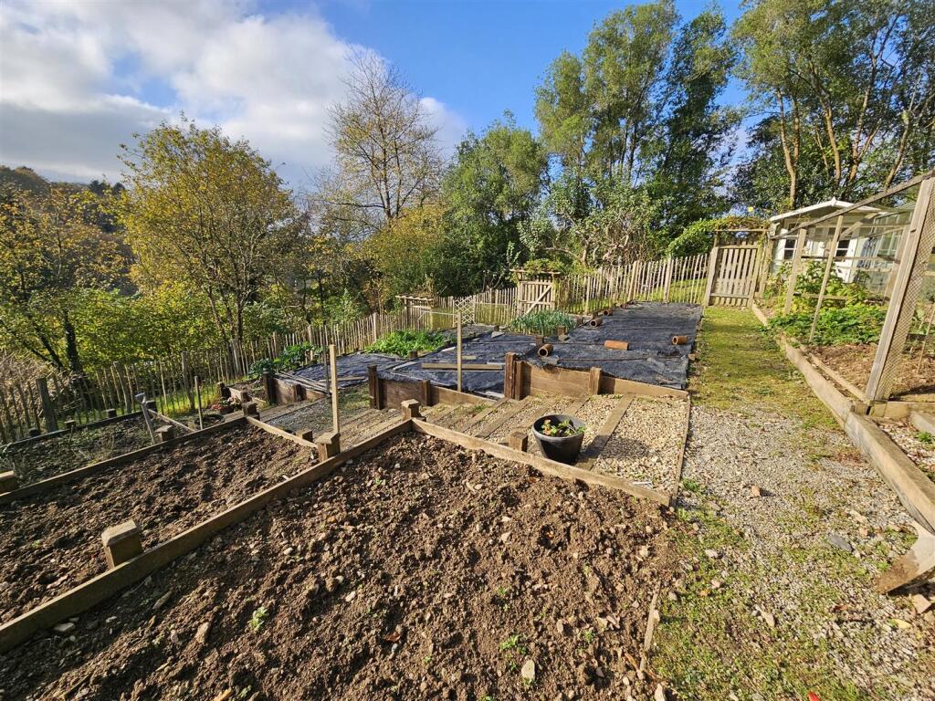 Vegetable Garden.jpg