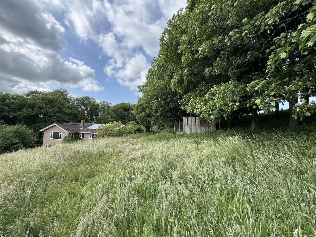 Sycamore Down Farm