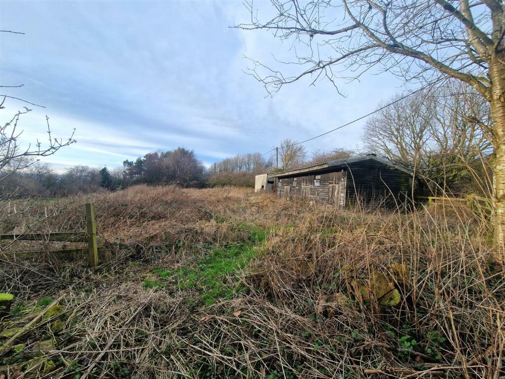 20240222_162244.jpg