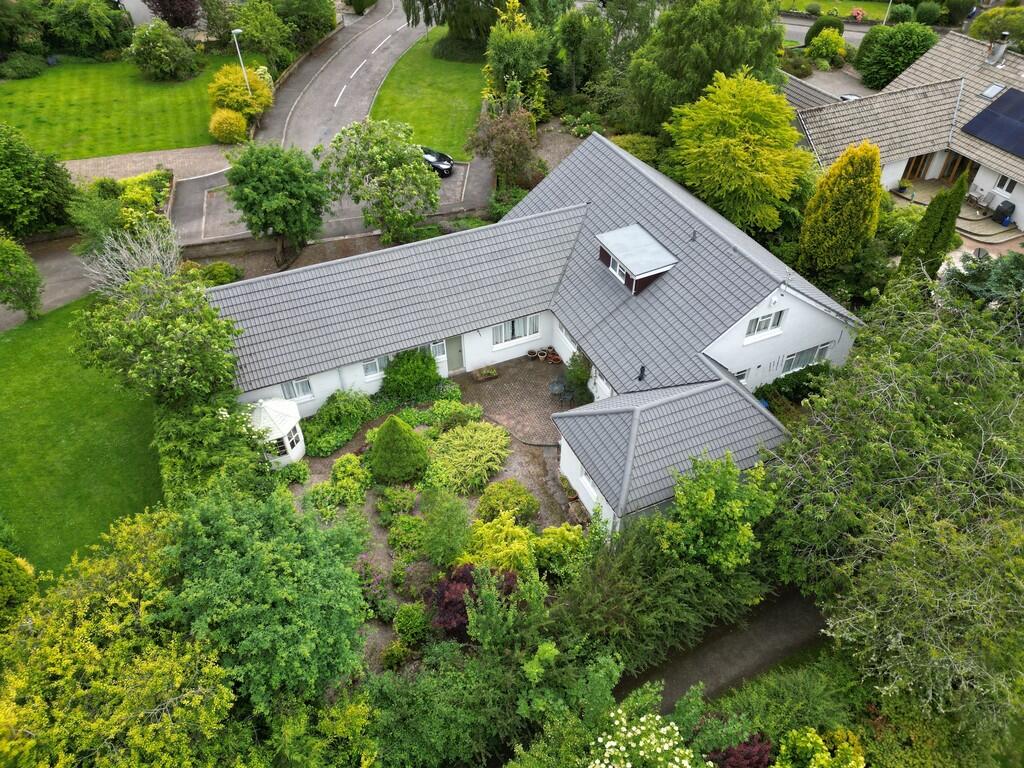DJI_0273