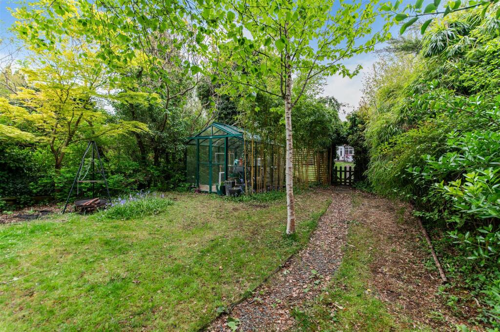 FIR TREE ROAD (3).jpg