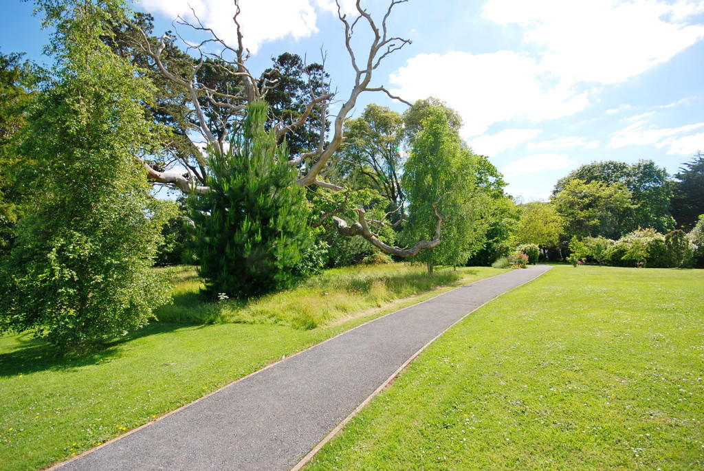 Communal Grounds