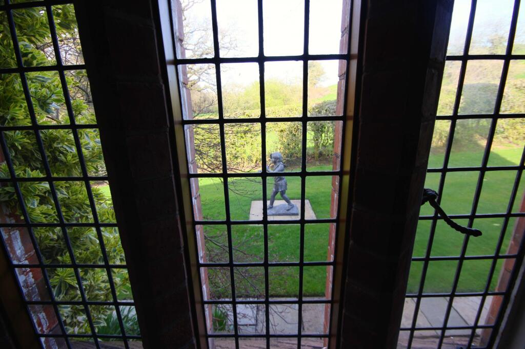 Window View 