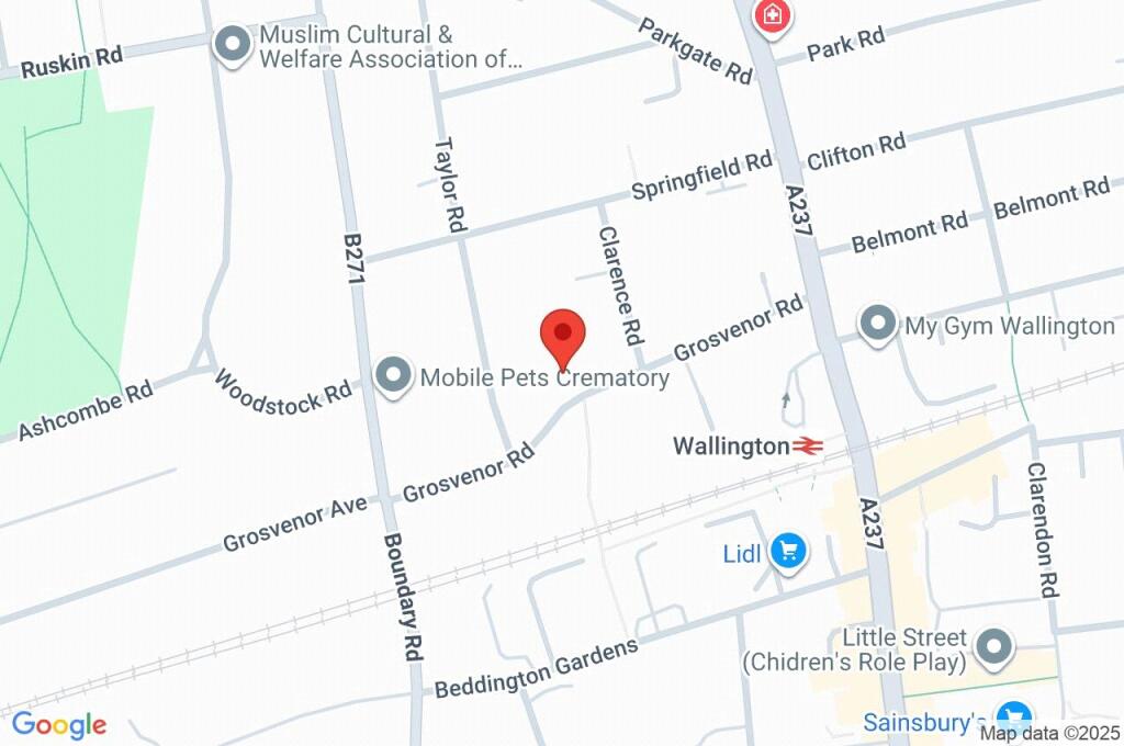 Google Maps Image