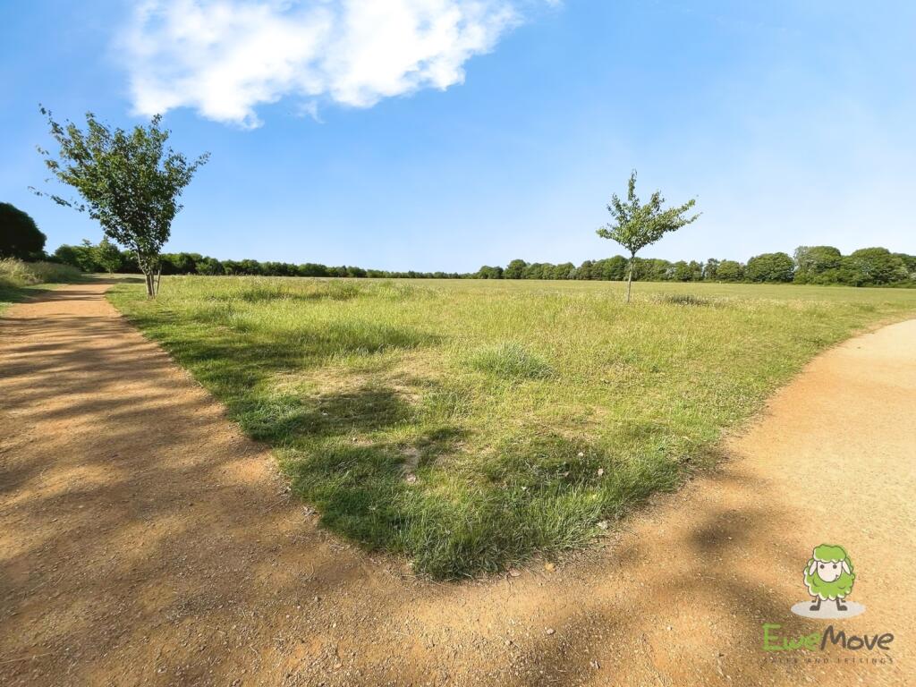 Nearby field