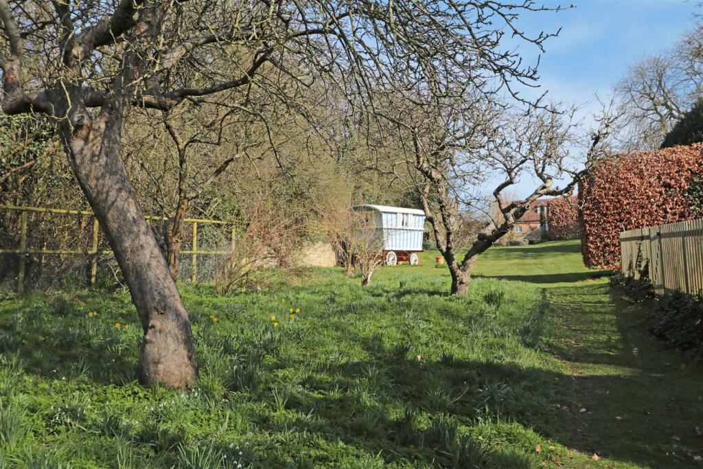Lower garden.jpg
