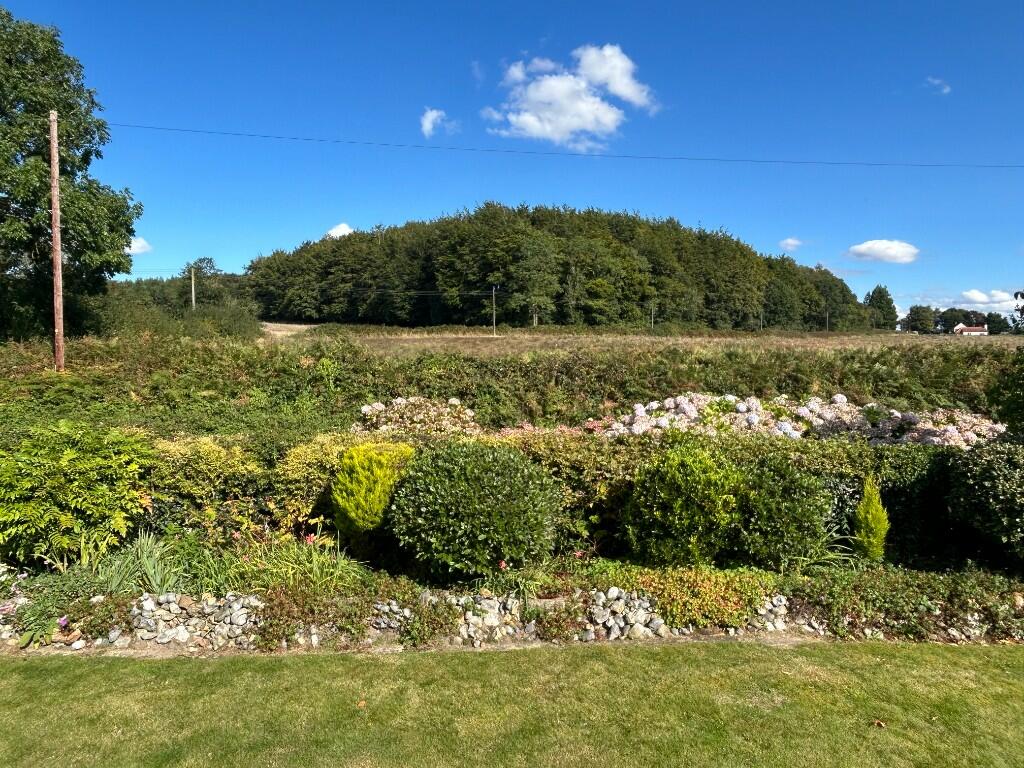 Field View