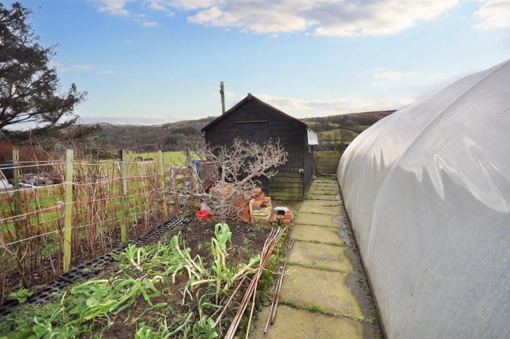 Back Garden