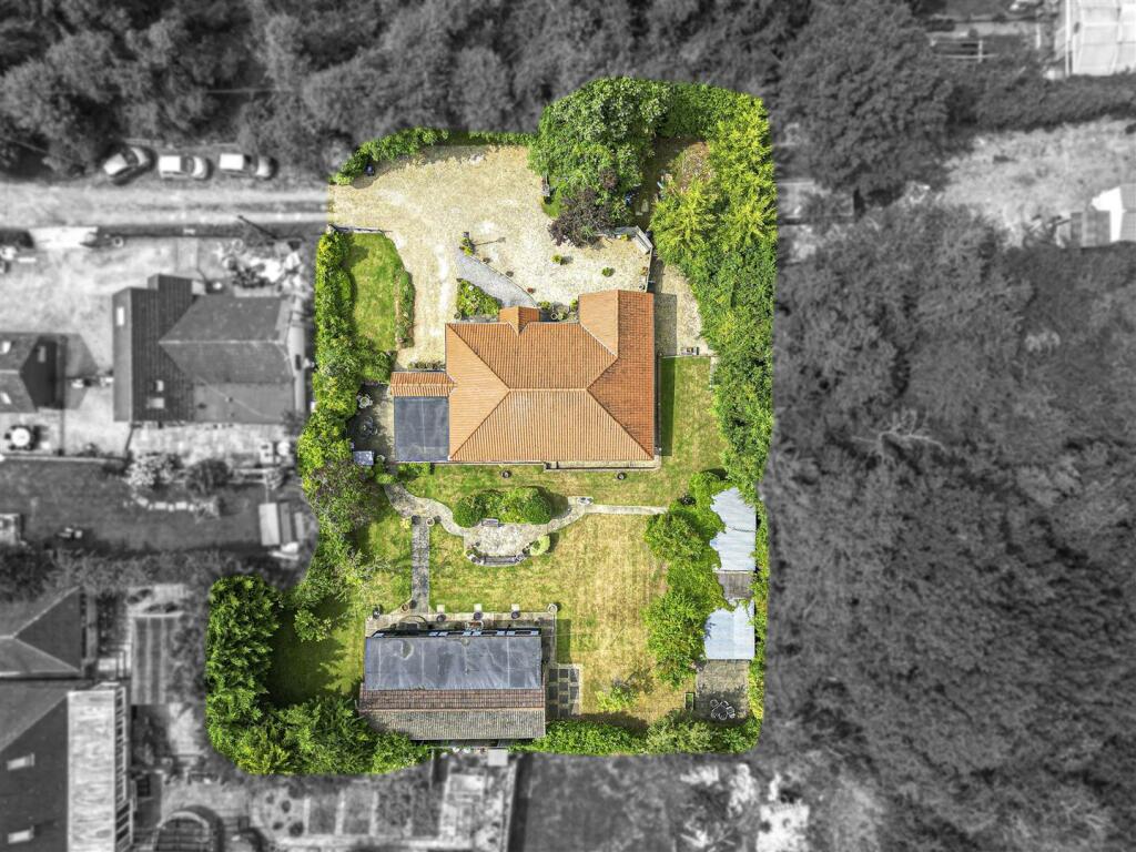 DJI_0972-Edit.jpg