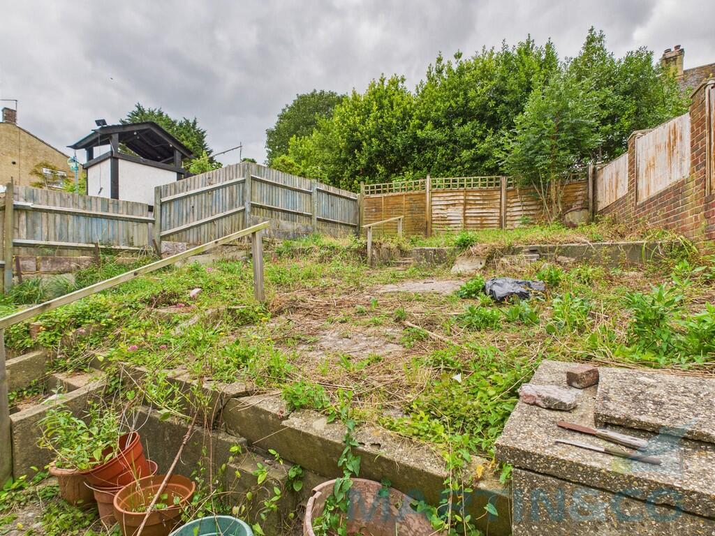 Garden Pic 2