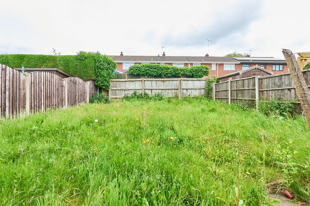 P1462278 T202505302056.jpg