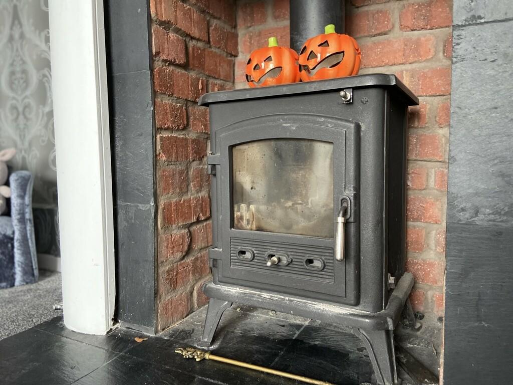Log Burner