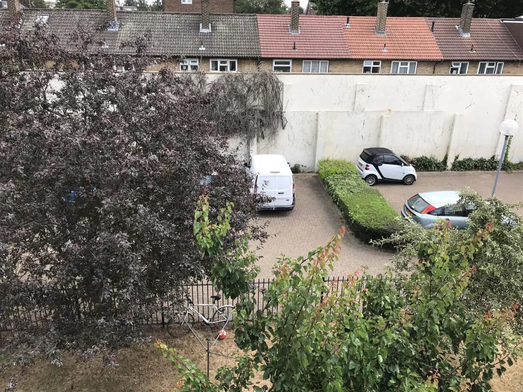 outside view through window 2.JPG