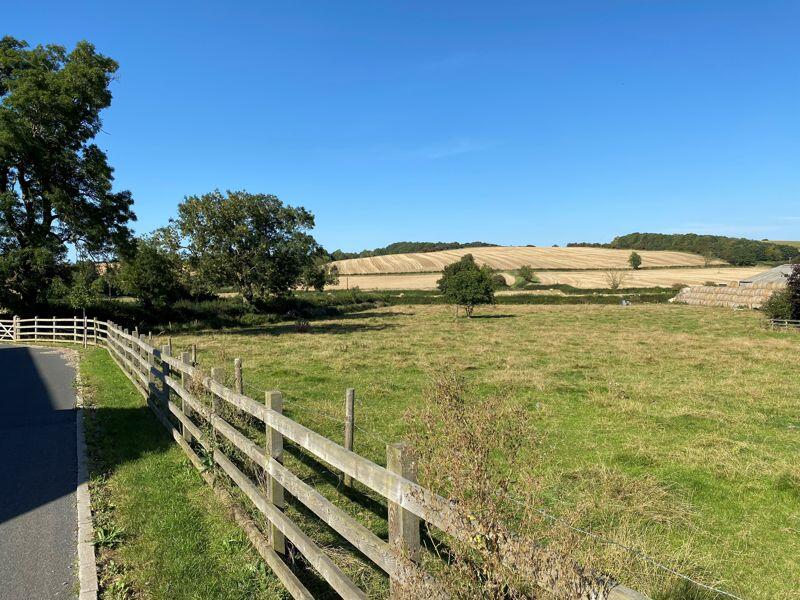 View from plot