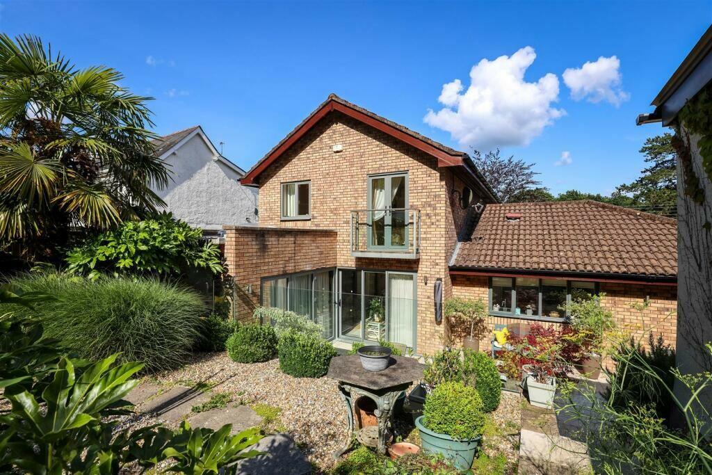 55753_32482904_IM...