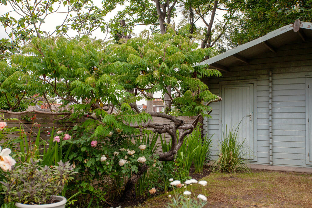 287592 - PeachumRoad_KElliott_057.jpg