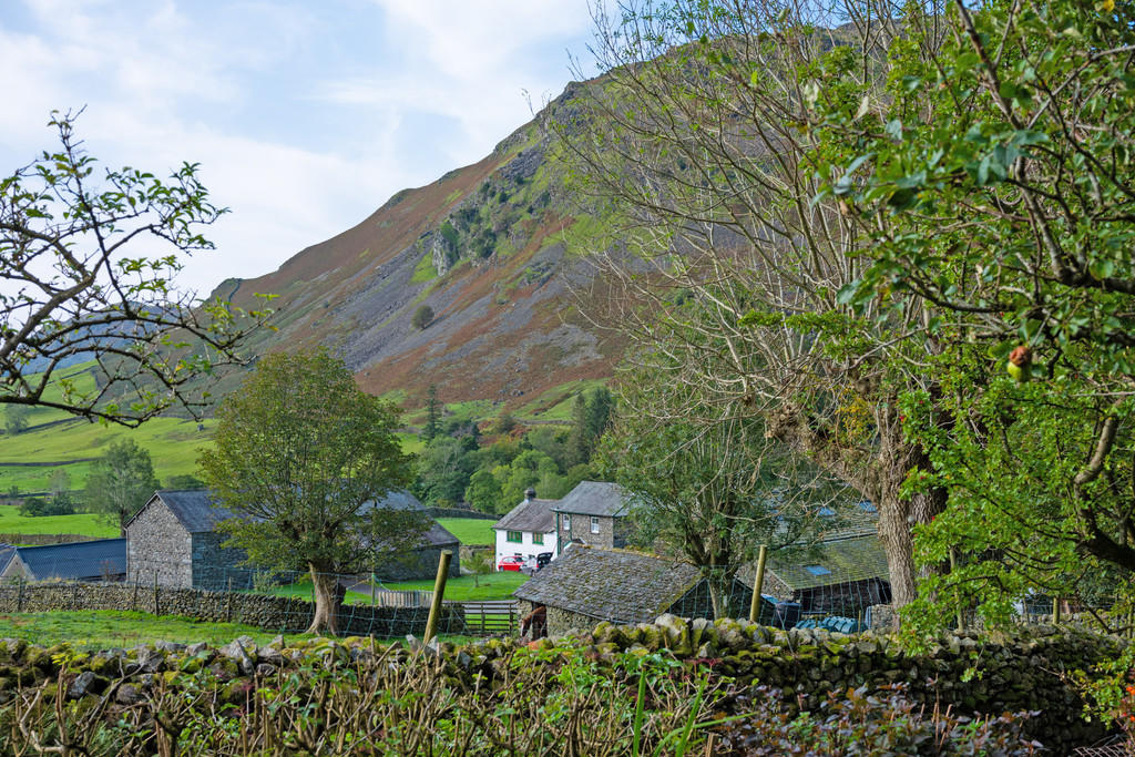 View from Garden
