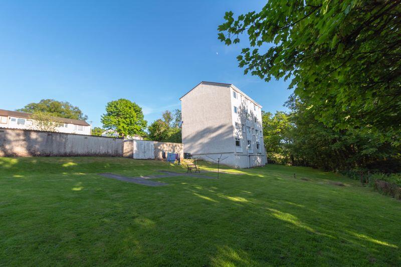 Rear Garden Area 