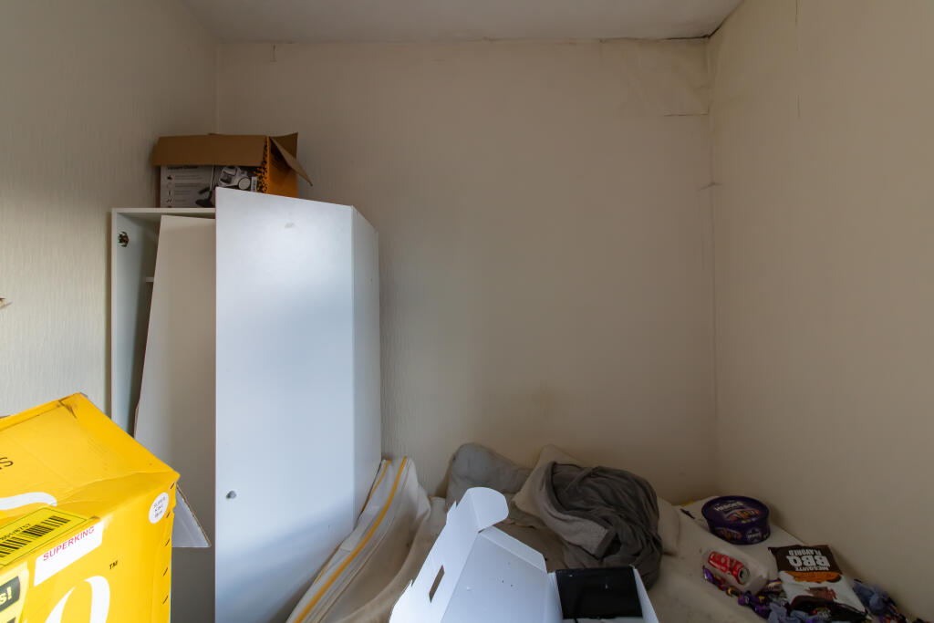 IMG 5517 T202506021218.jpg