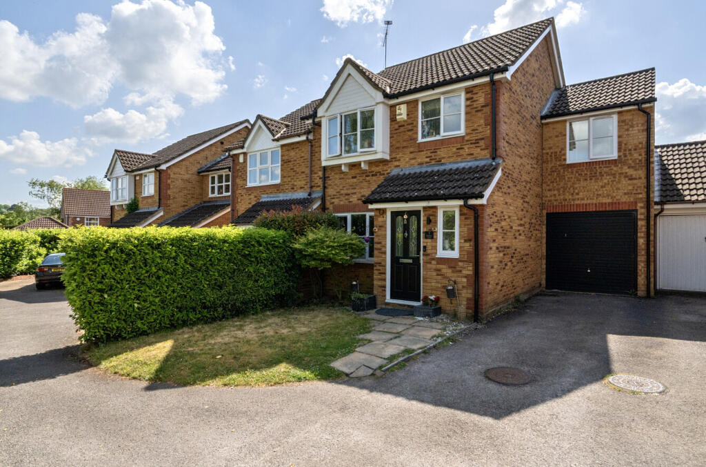 1294539-36-683045...