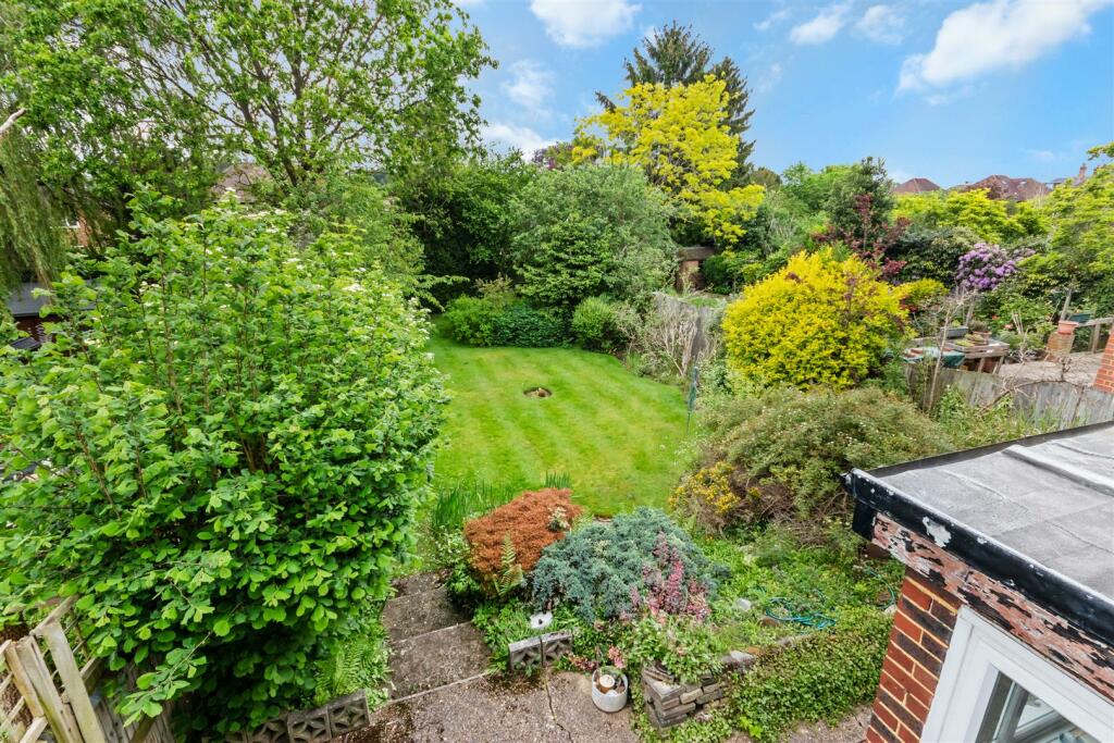 West Facing Garden