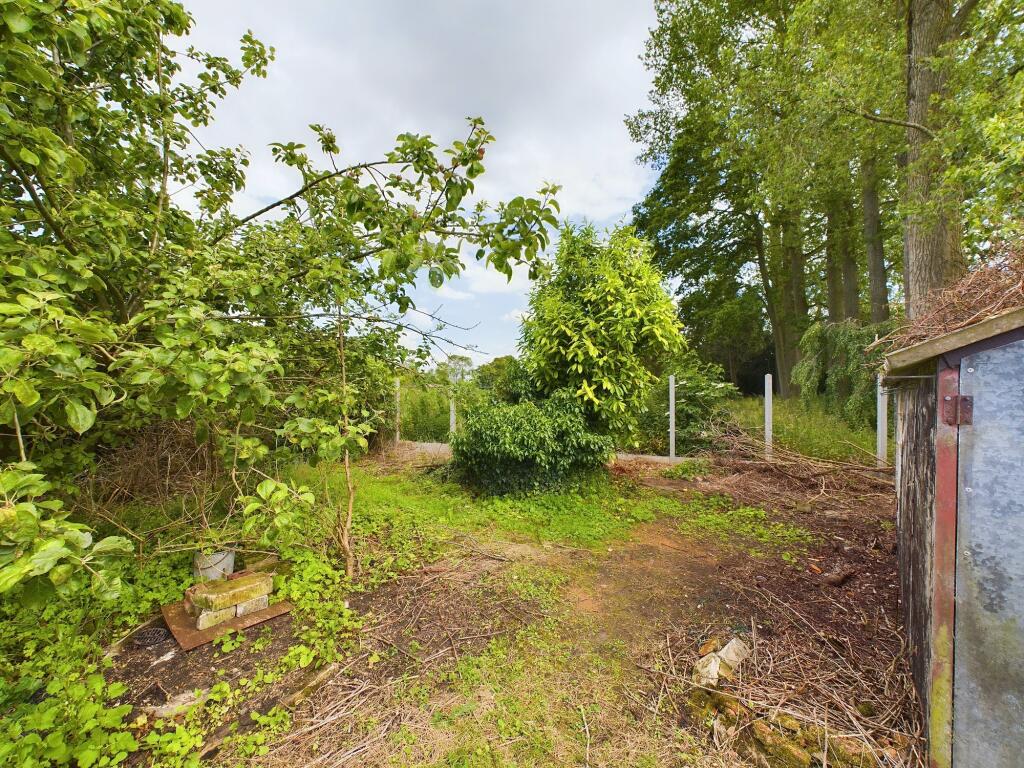 19 T202504101144.jpg