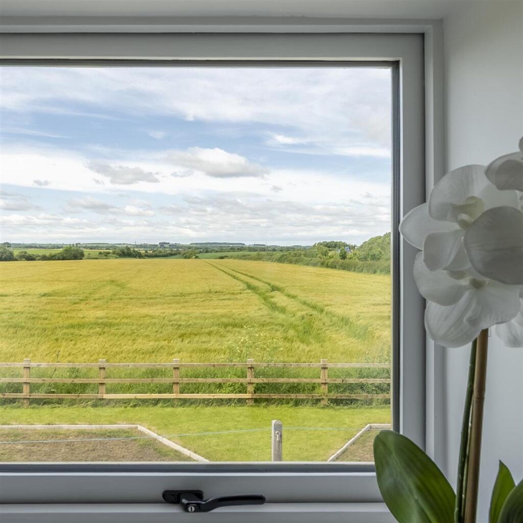 Rolling countryside views