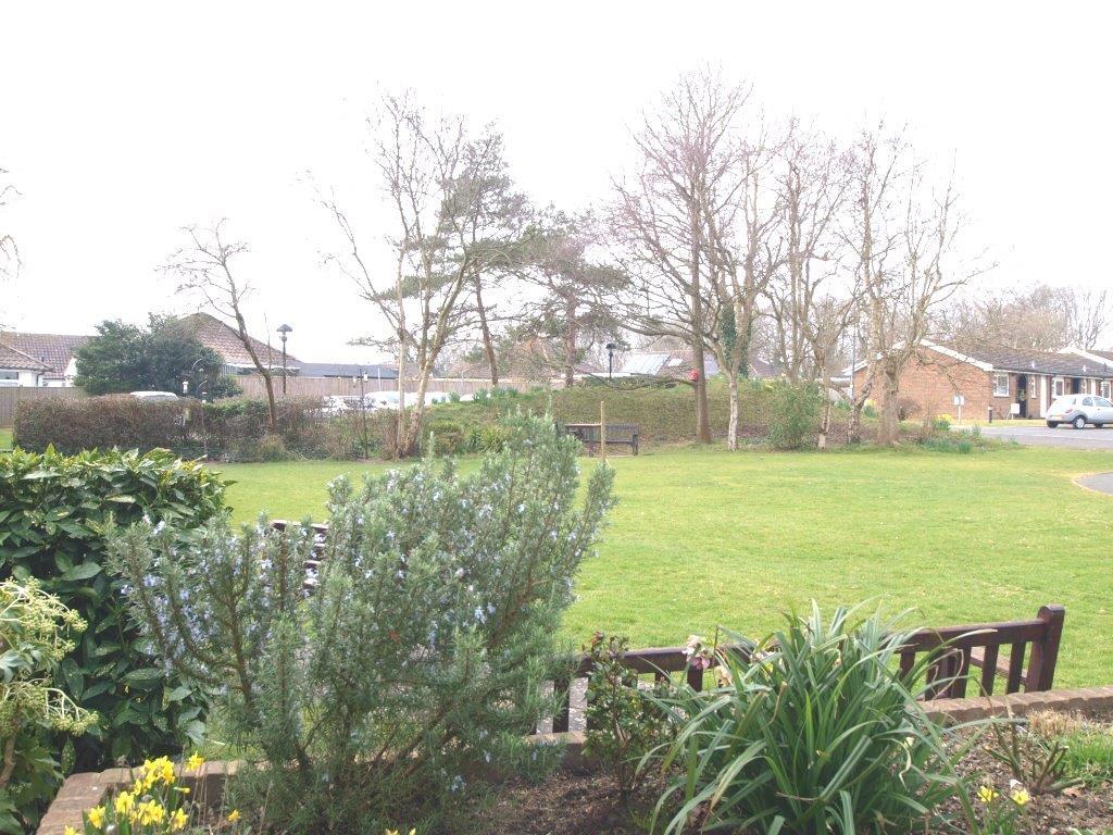 Com Gardens.JPG