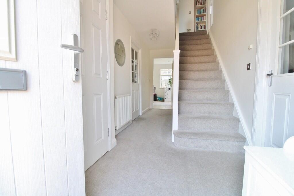 IMG_4853 (1024x68...