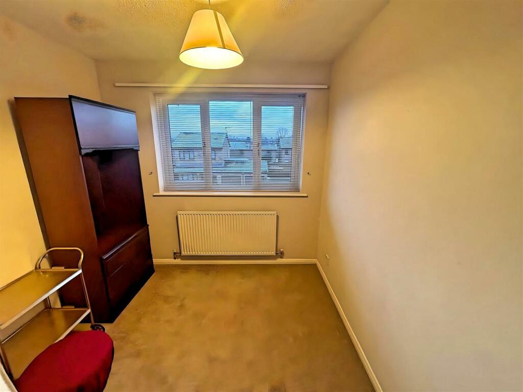 IMG_2746 (Large).JPG