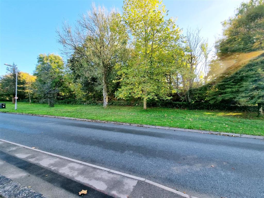 Green Opposite Property