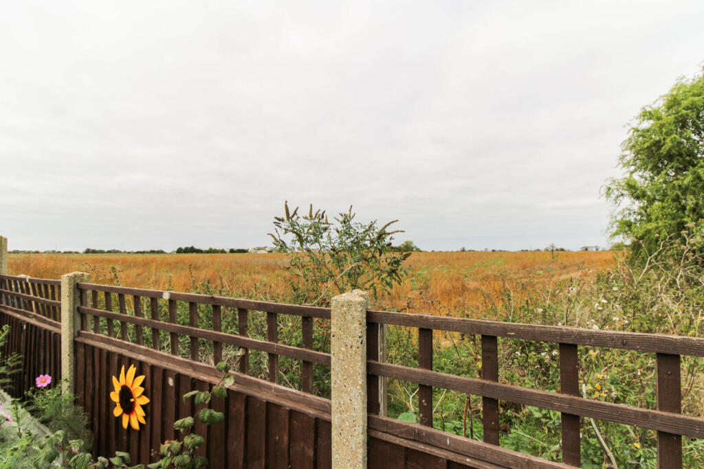 Farmland Views