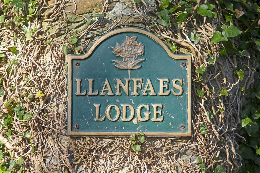 7A69A7254 - Copy.JPG