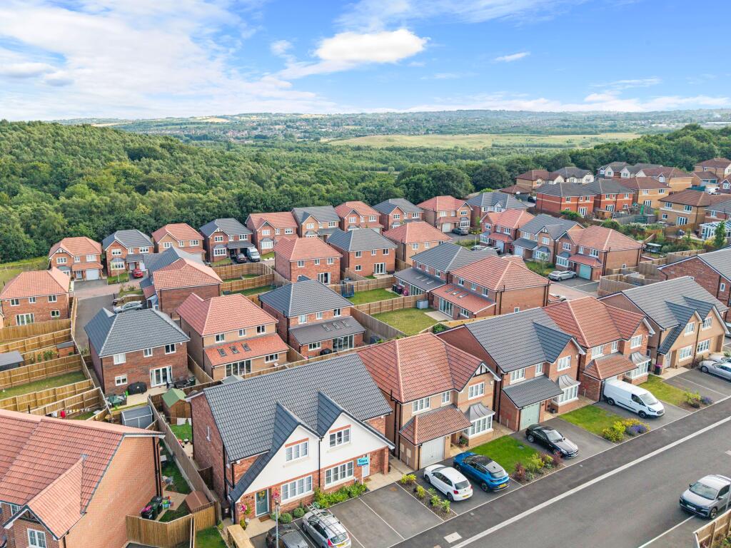 Aerial Street View