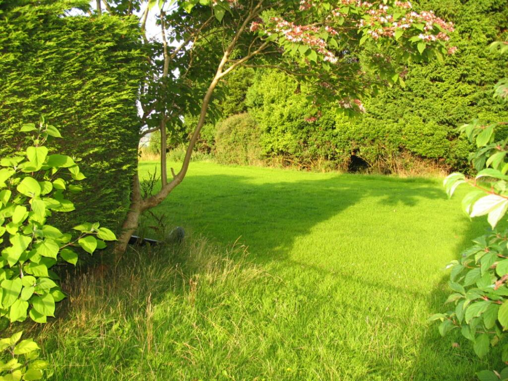 Side Garden Pic 2