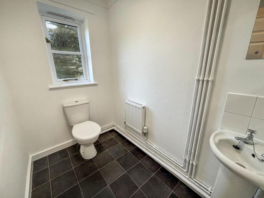 tlc_17e37285-cb66-488f-a121-2961dd5c8a0f_bff6f96.j