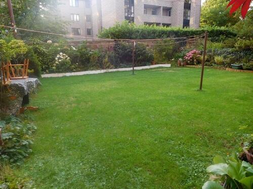 garden b.JPG