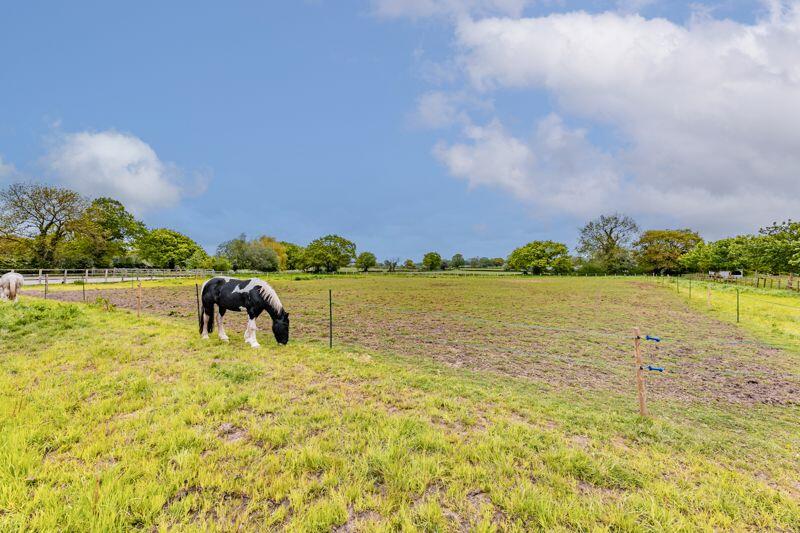 Find me in the Field