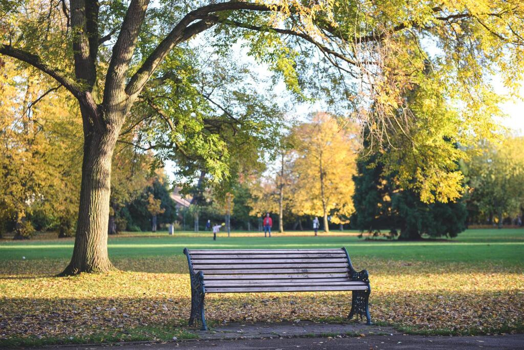 Epsom Stock (28 of 38).jpg