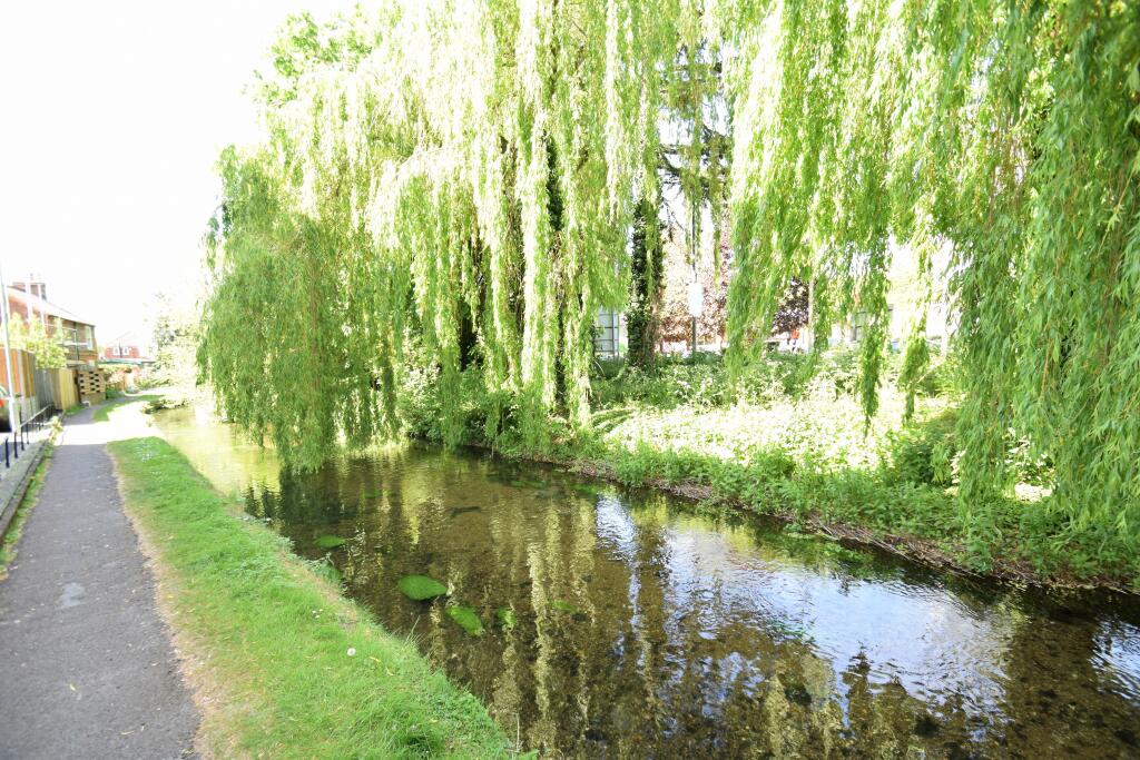 DSC_00251.JPG
