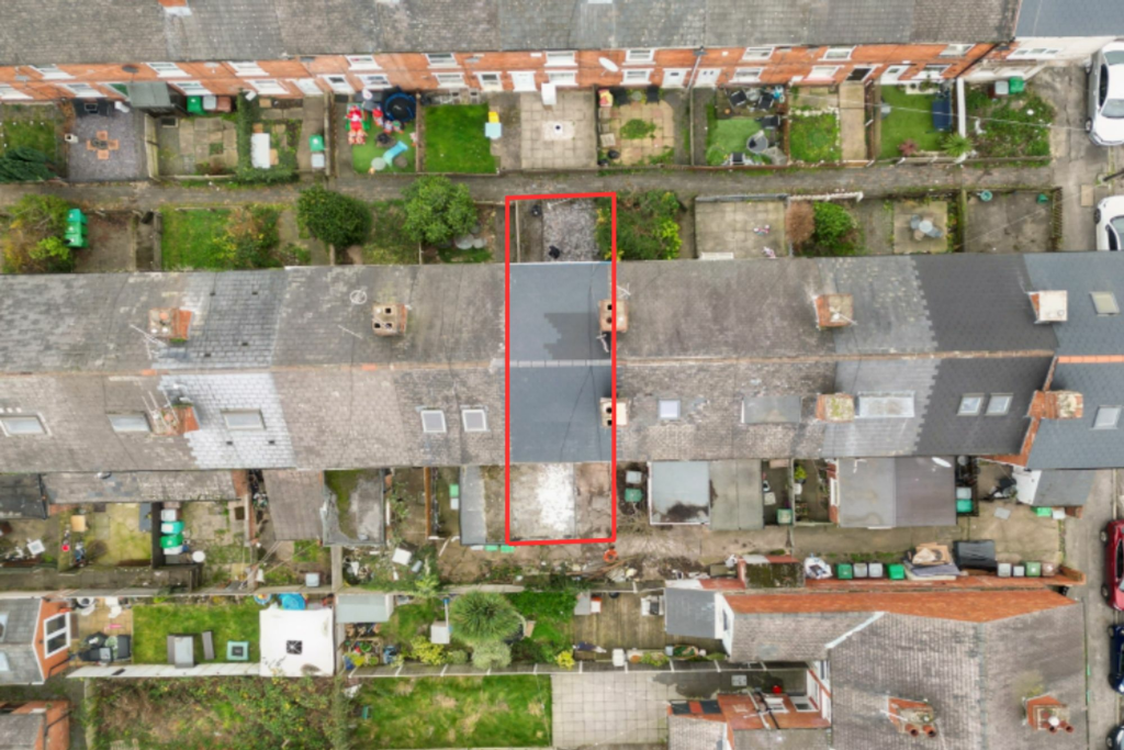 Plot View