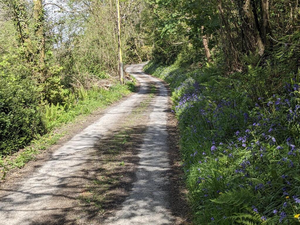 Pretty Lane to Cottage.jpg
