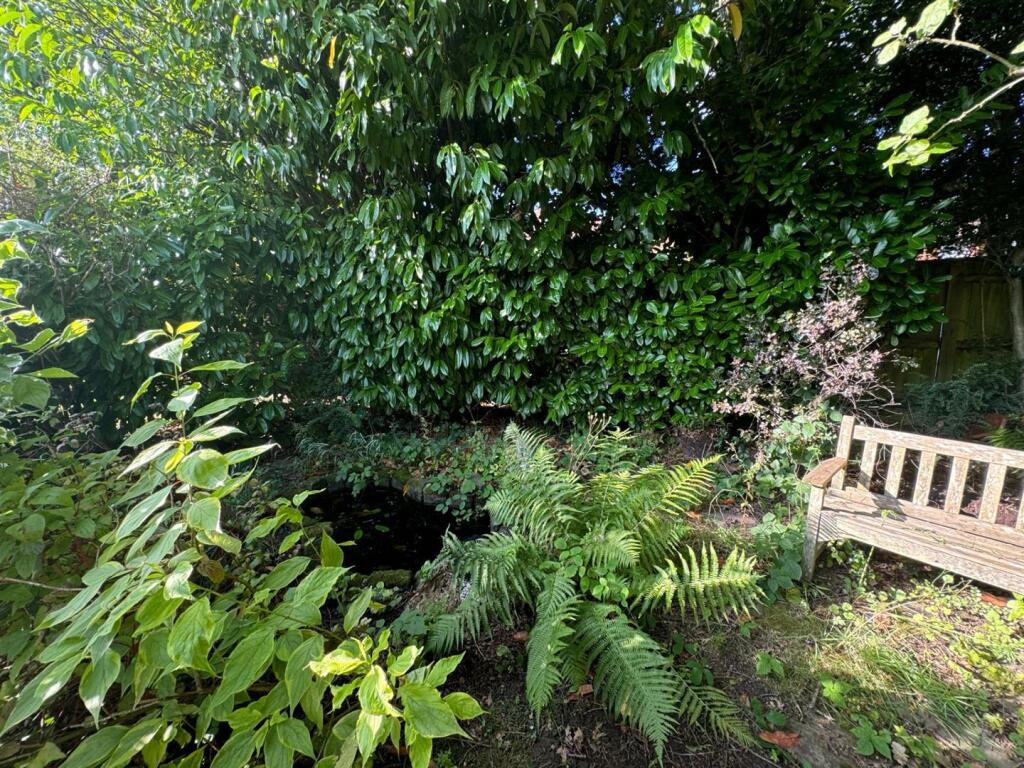 thumbnail_image1 (5).jpg