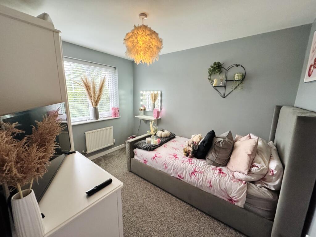 IMG_4723