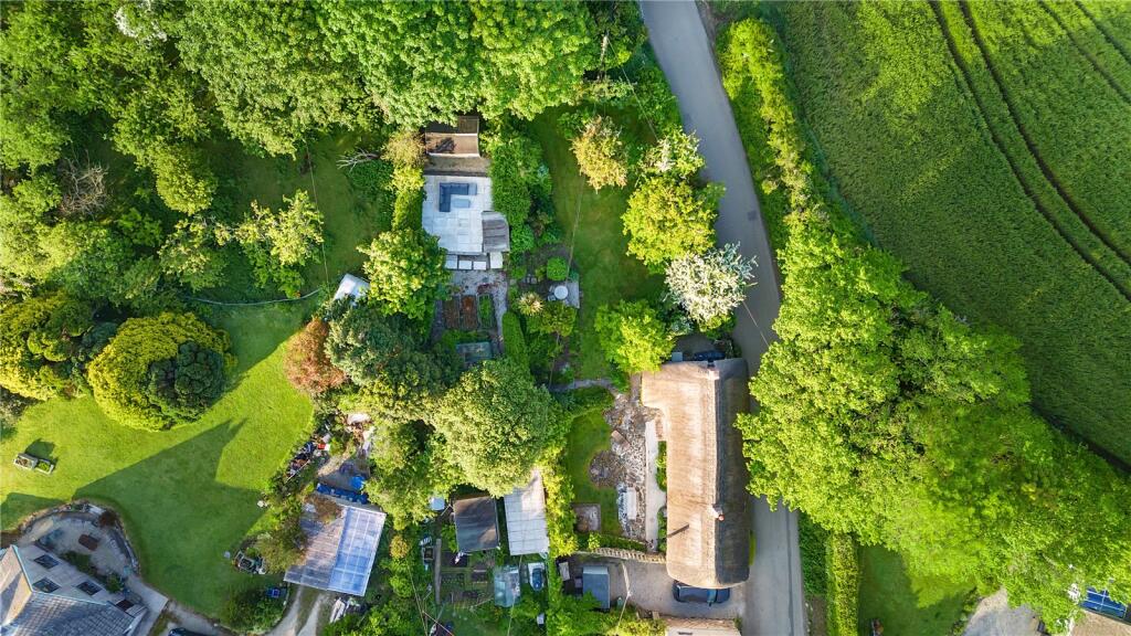 Aerial Shot