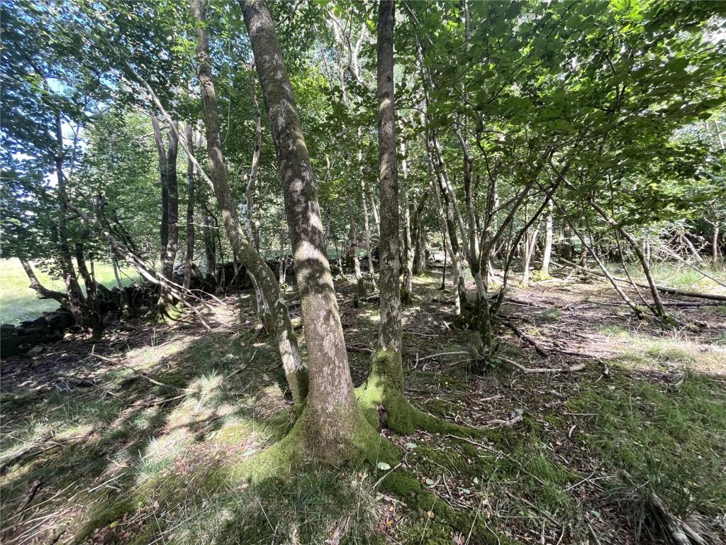 Lot 1