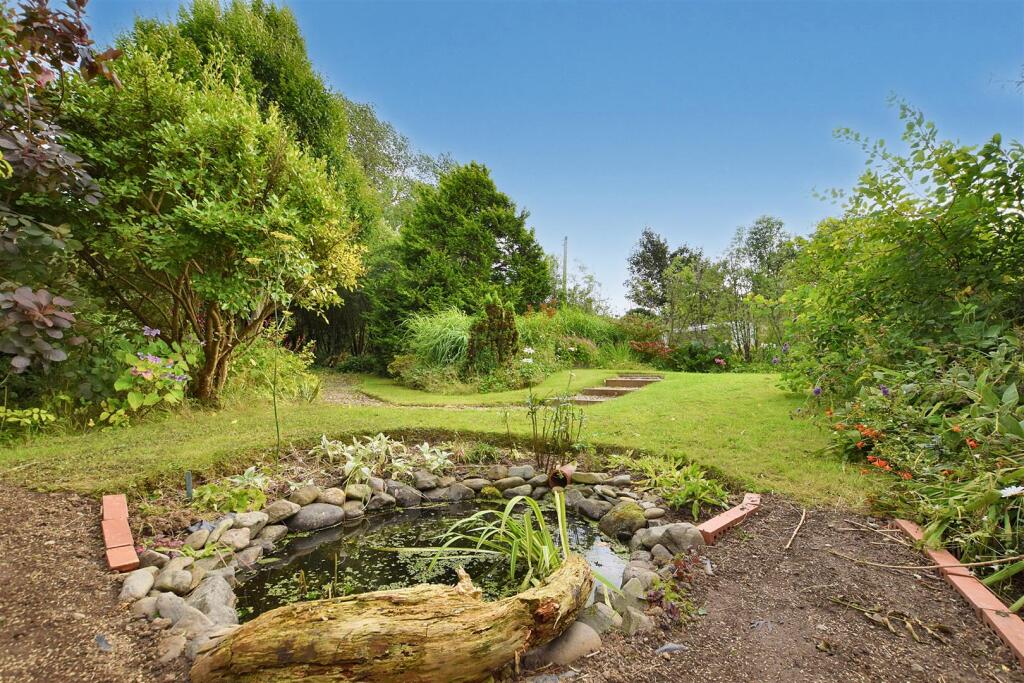 Garden - Pond Area