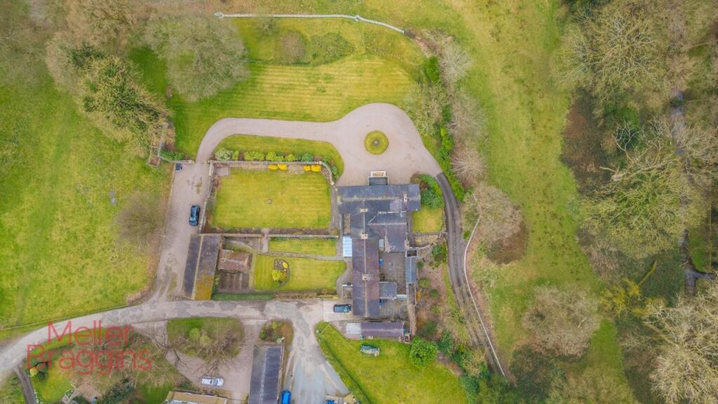 20250321-20250321-DJI_0158 (2).jpg